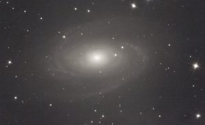 Messier 81